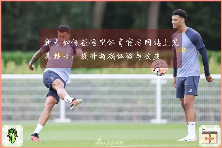 新手如何在悟空体育官方网站上完美抽卡，提升游戏体验与收益